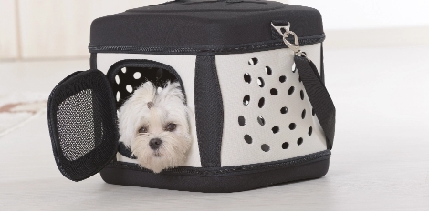 Abour Pet Products