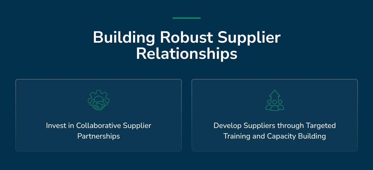 Building Robust Supplier Relationships for Sustainable Success