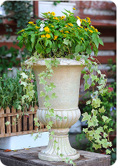 Outdoor, Garden & Patio